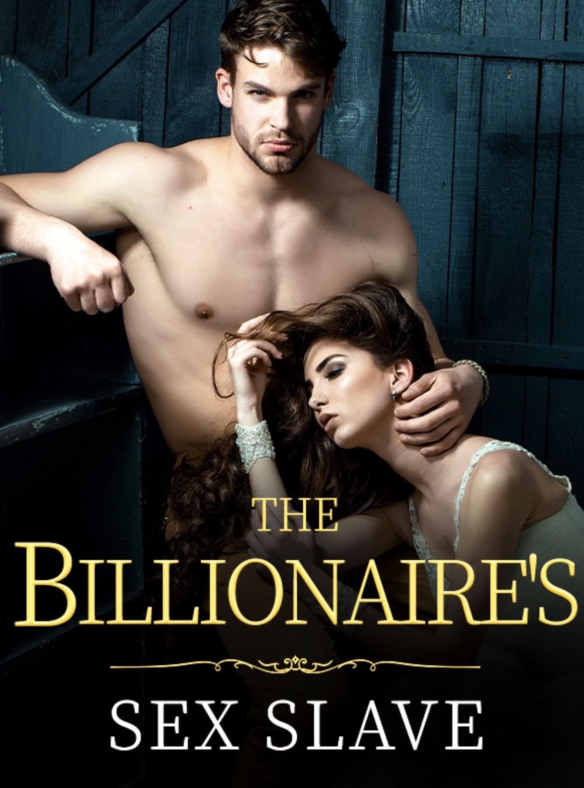 The Billionaires Sex Slave Novel Full Story Book image picture