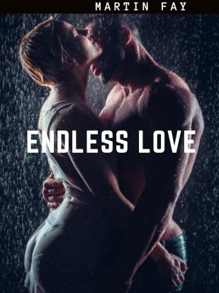 The Endless Love-Martin Fay