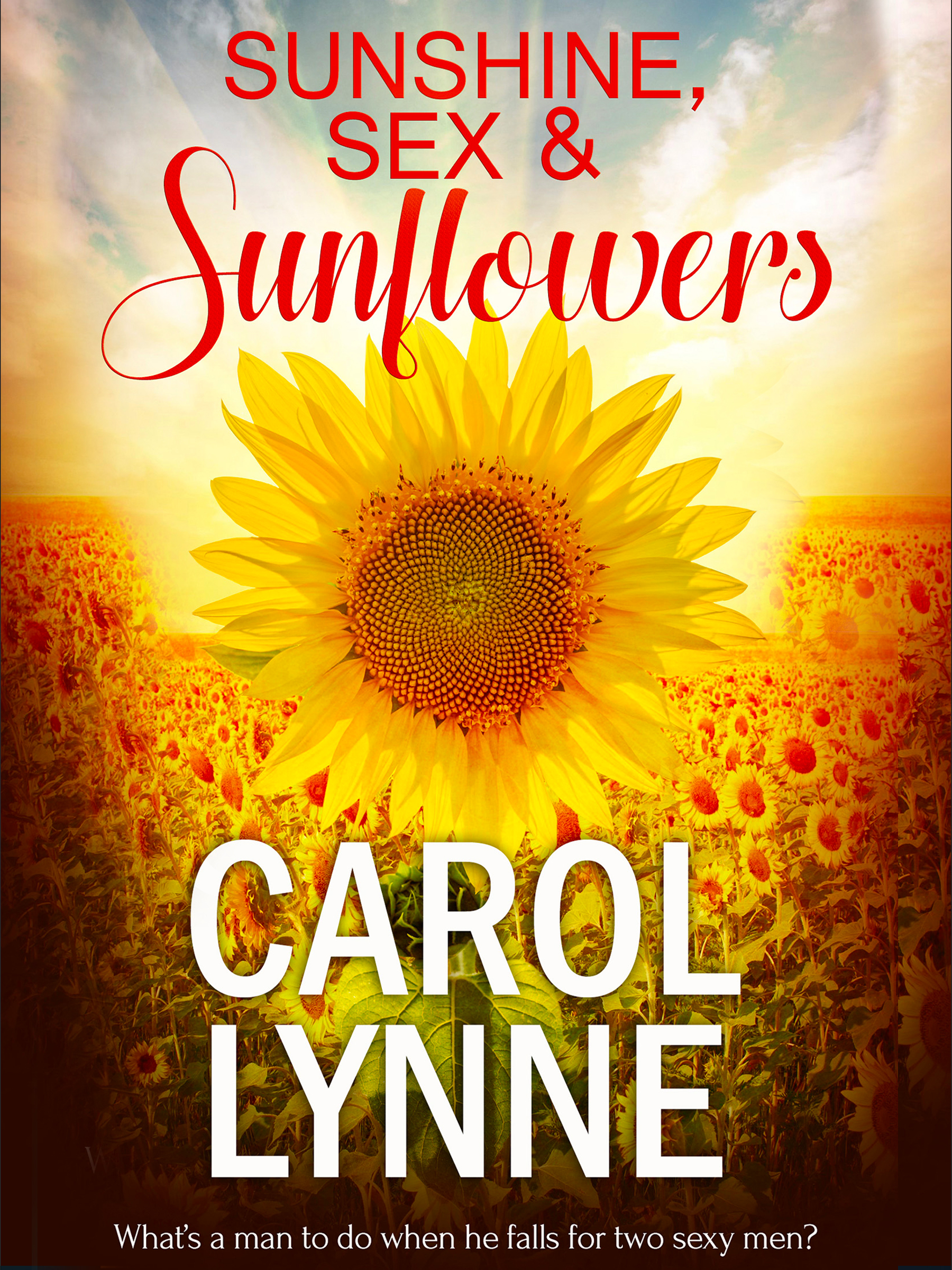 Sunshine Sex And Sunflowers Novel Full Story Book Babelnovel