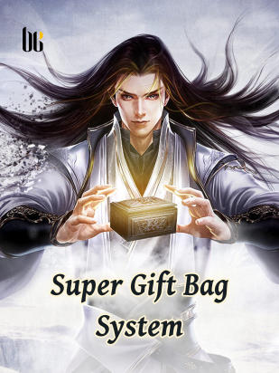 Super Gift Bag System