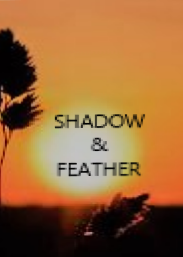 Shadow & Feather