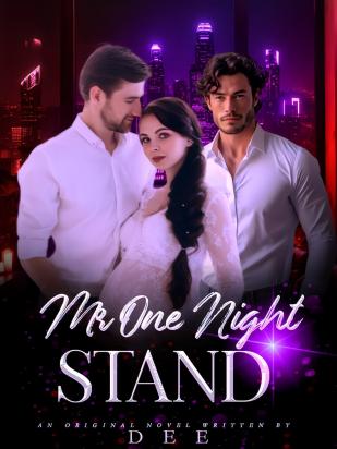 Mr one night stand