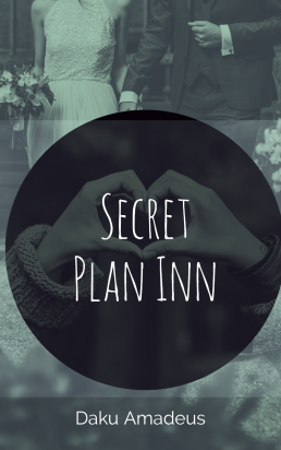 The Secret Plan Inn