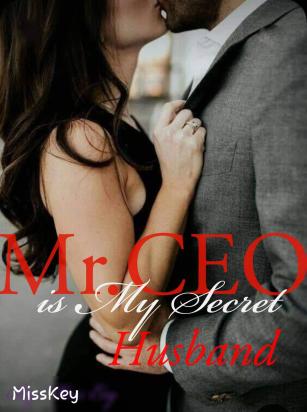 Mr. CEO is my Secret Husband