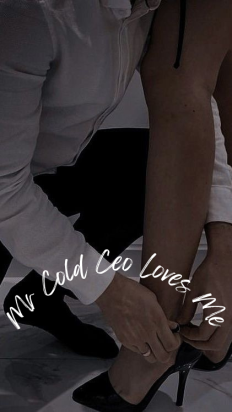 Mr Cold Ceo Loves Me