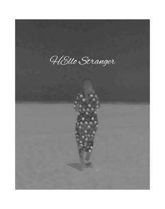 Hello Stranger