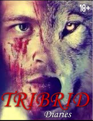 Tribrid Diaries